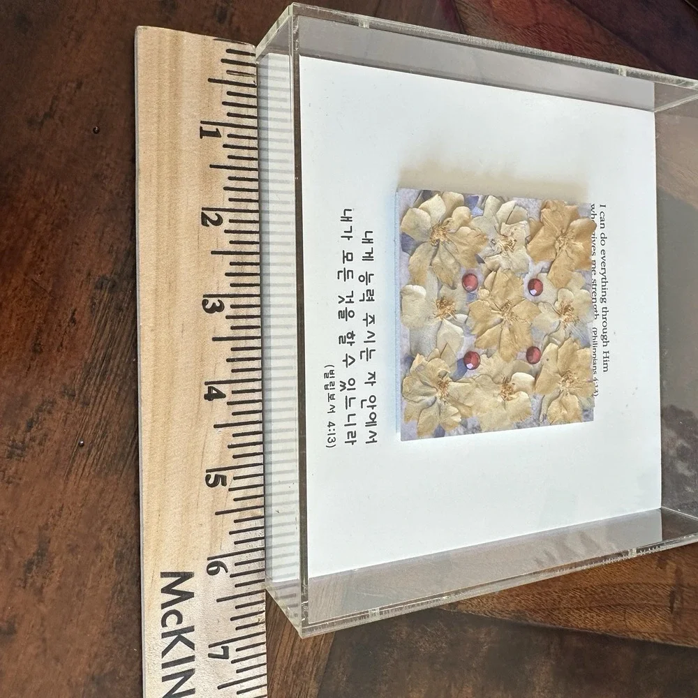 Art Wall Frame 6.5 Inch Press Flower I Can Do Everything Through Him Philip 4.13